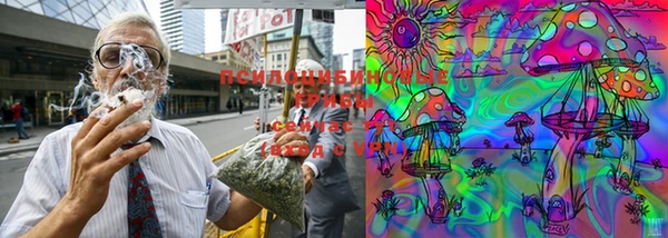 apvp Навашино
