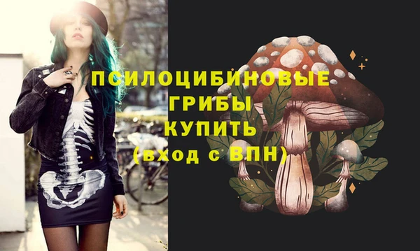 крисы Наволоки