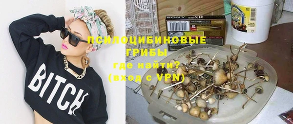 стафф Михайловск