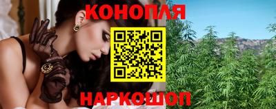 винт Донецк