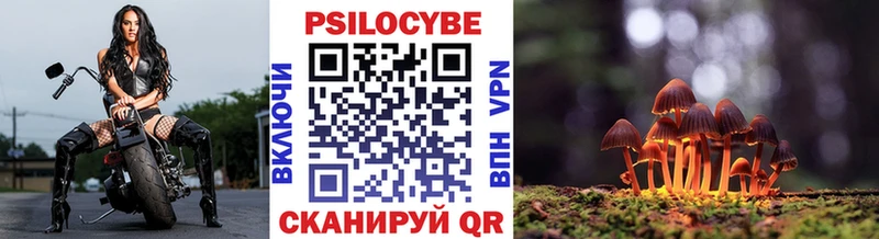купить наркоту Новозыбков Псилоцибиновые грибы мухоморы