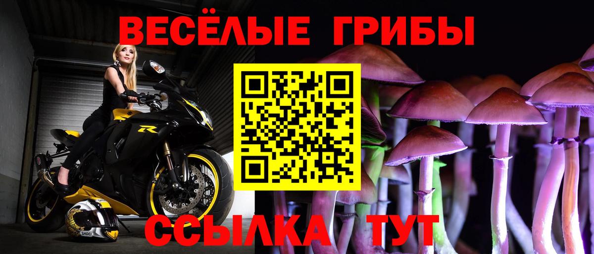 Галлюциногенные грибы мицелий  хочу наркоту  Новозыбков  Вход с VPN 