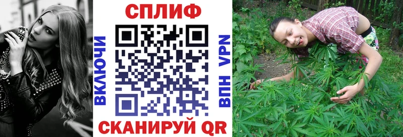 ОМГ ОМГ маркетплейс  Новозыбков  Шишки марихуана сатива  даркнет официальный сайт  где купить наркотик 